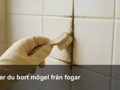 Hand i gummihandske som skrubbar svartmögel i vita badrumsfogar med en liten borste vid duschens kakelvägg.