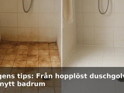 Före- och efterbild av ett mycket smutsigt duschgolv som blivit vitt igen efter storstädning