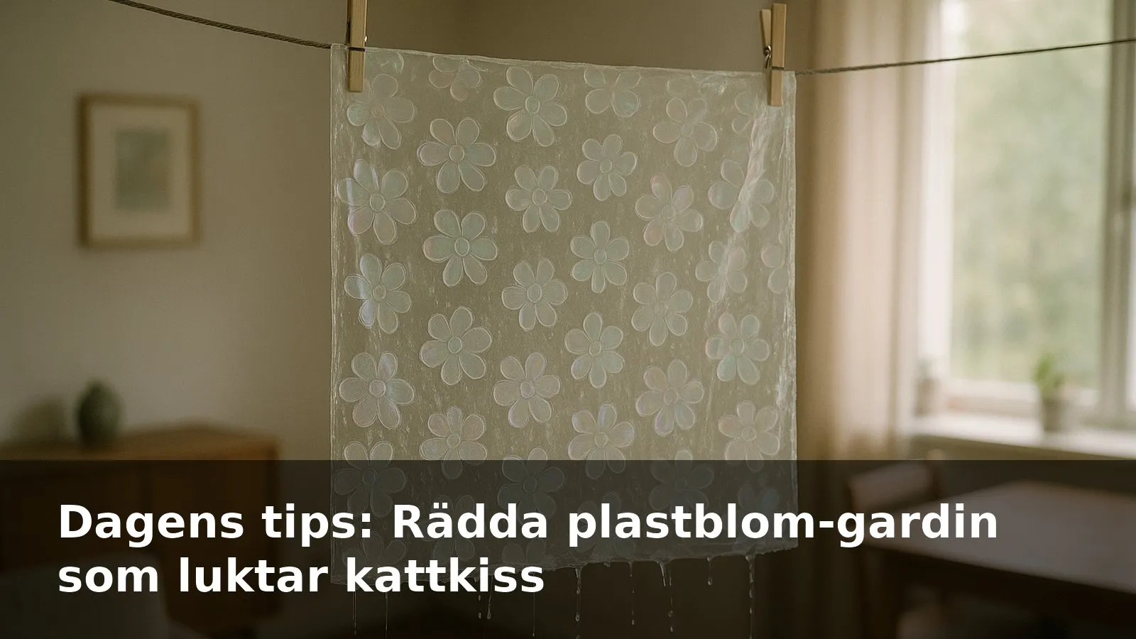 Skimrande plastblom-gardin som hänger på tork ute i skugga och droppar vatten