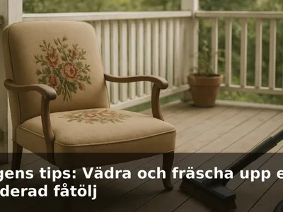 Vintage broderad fåtölj som vädras ute i skugga med dammsugarmunstycke bredvid.