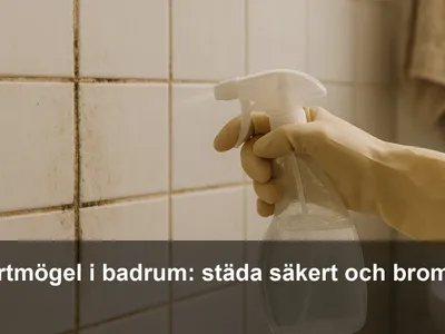 Närbild av svartmögel på kakelfog i ett badrum, hand med handskar som sprayar rengöringsmedel.