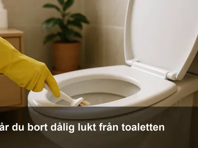 Person med gummihandskar som rengör toalettens kant med en liten borste.