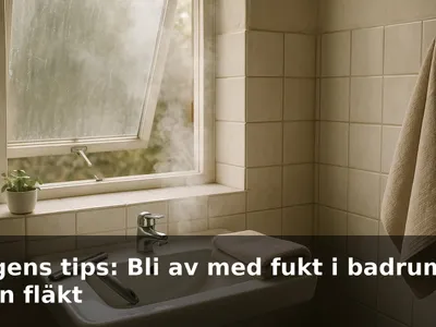 Ett litet badrum med öppet fönster upptill där ångan vädras ut; en duschskrapa och handduk vid handfatet.