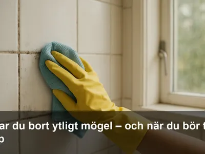 Hand med skyddshandske som torkar bort ytligt mögel från kakelfog med mikrofiberduk i ett välventilerat badrum