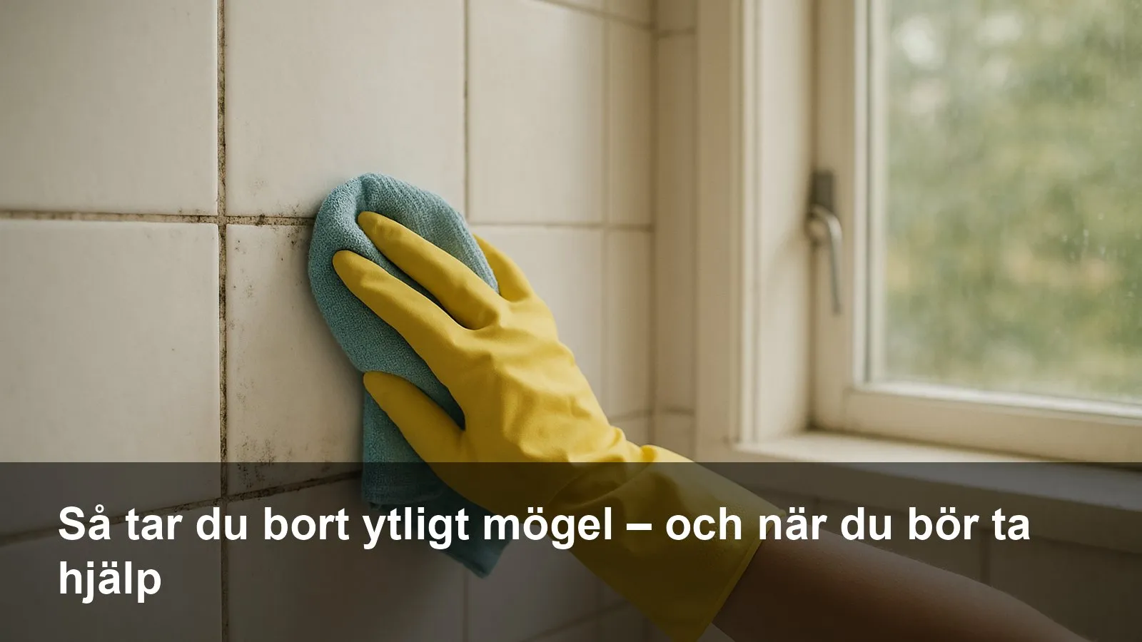 Hand med skyddshandske som torkar bort ytligt mögel från kakelfog med mikrofiberduk i ett välventilerat badrum
