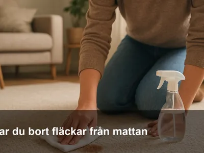 Närbild av en hand som baddar en fläck på en ljus matta med en vit trasa.